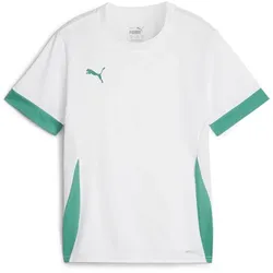 Puma Teamgoal Matchday Jersey jr puma white-sport green-sport green (15) 152