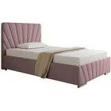panda möbel gmbh Panda Möbel Polsterbett RAY - Komfortbett mit Stauraum, Einzelbett, - 120x200cm, - Rosa,