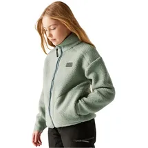 Dare 2b Dare2b Zesty Ii Fleece Mit Durchgehendem Reißverschluss - Glacier Green - 11-12 Jahre