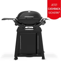 Weber Q 2200N mit Rollwagen black
