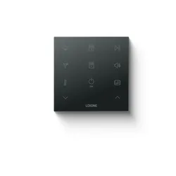 Loxone Touch Pure Flex Standard Audio Tree Anthrazit