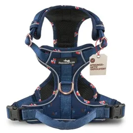 Freudentier atmungsaktives Hundegeschirr Lets get Foxy M