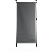 Garden Pleasure Aluminium Klemm-Sichtschutz 120 x 316 cm Anthrazit