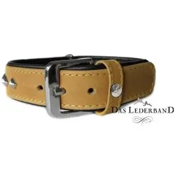 DAS LEDERBAND Hundehalsband Amsterdam, Lime / Lava, Breite 30 mm / Länge 50 cm