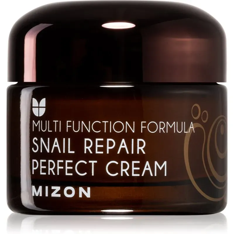 Mizon Multi Function Formula  Snail Hautcreme mit Filtrat aus Schneckensekret 60% 50 ml