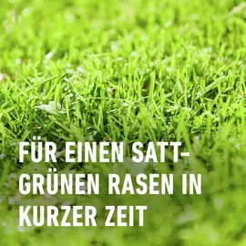Compo Rasendünger Turbo 5 kg