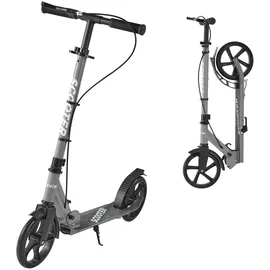 Vevor Scooter Grau