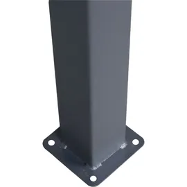 Konifera Kreta 3 x 3 m Grau
