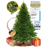 artitree Weihnachtsbaum künstlich [100% Spritzguss] - Naturgetreuer Tannenbaum mit Stabiler Spitze | 210 cm