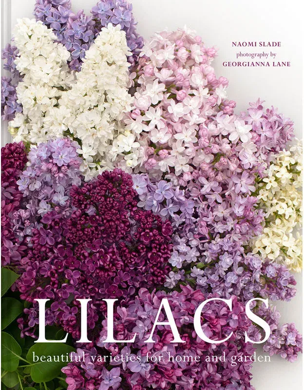 Lilacs - Naomi Slade  Georgianna Lane  Gebunden