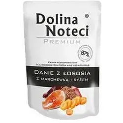 DOLINA NOTECI Lachs mit Karotte und Reis 300g Nassfutter für Hunde