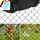 mineup Vogelschutznetz 15 x 15 m