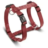 Wolters Professional Hundegeschirr Braun/Rot XL