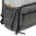 Lowepro Truckee BP 250 LX grau