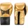 TapouT Boxhandschuhe 10 oz