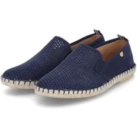 Verbenas Tom Pacific mit luftdurchlässiger Perforation