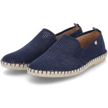 Verbenas Tom Pacific mit luftdurchlässiger Perforation