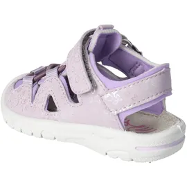 Pepino Gary Lila 25