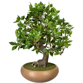Creativ green Kunstbonsai »Bonsai Ficus«, grün