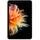 Blackview Tab 12 10.1'' 64 GB LTE silver