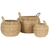 Natura Punto, Aufbewahrungskorb, Exklusives Körbe Set aus Seegras (36 cm, 3x)