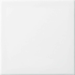 Busch-Jaeger Wippe aws Busch-balance SI 2506-914