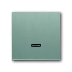 Bedienelement für z.B. Tastdimmer (alusilber)