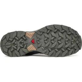 Salomon X Ultra 360 GTX Damen Sedona Sage/Urban Chic/Etherea 37