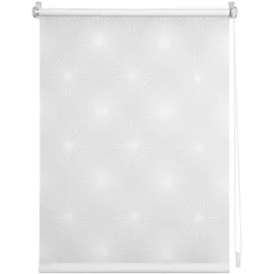 Lichtblick Rollo Klemmfix, ohne Bohren, blickdicht - Ausbrenner