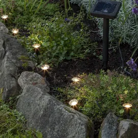 Star Trading LED-Solar-Lichterkette 'Mini Spot', Kunststoff - Schwarz