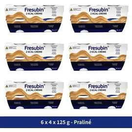 Fresenius Kabi Deutschland GmbH Pudding 3 kg