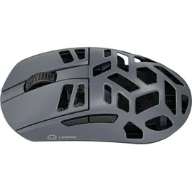 Kingston MSE90W Dunkelgrau
