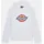 Dickies Icon Logo Kapuzenpullover - White - XL