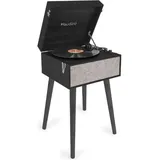 Audizio Fremont, Plattenspieler