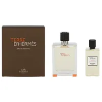 Hermès Duft-Set Hermès Terre D ́ Eau De Toilette Spray 100ml Set 2 Artikel