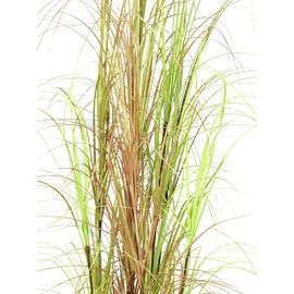 Europalms Grasbusch, 150cm