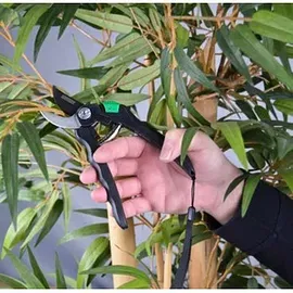 Brüder Mannesmann Werkzeuge Gartenschere M63101