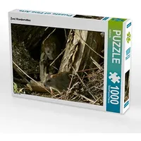 Calvendo Puzzle Zwei Wanderratten 1000 Teile Puzzle quer |
