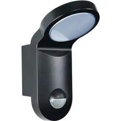 ESYLUX LED-Strahler AOL 100 LED 3K sw