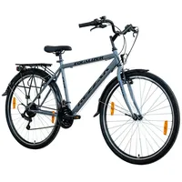 Rezzak 28 Zoll RH 48 cm Herren grau