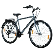 Rezzak 28 Zoll RH 48 cm Herren grau