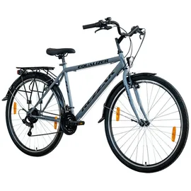 Rezzak 28 Zoll RH 48 cm Herren grau