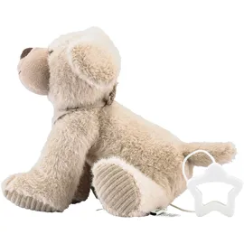 Sterntaler Spieluhr M Hund Lucky