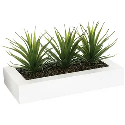 WellHome - Dekorativer Tafelaufsatz mit 3 Aloe Vera Pflanzen 17cm