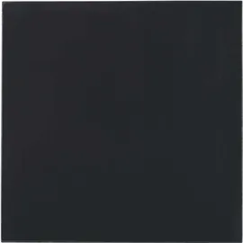 Thermal Grizzly Minus Pad Advance - 2er-Pack Wärmeleitpad, 100 x 100 x 2,0 mm, elektrisch Nicht leitend, hohe Wärmeleitfähigkeit und Komprimierbarkeit für SSDs, GPUs und Elektronik