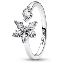 Pandora Damenring Timeless 192611C01-54 - silber - 54