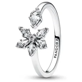 Pandora Damenring Timeless 192611C01-54 - silber - 54