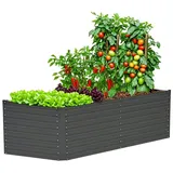 Konifera Emmy 190 x 60 x 80 cm Grau