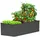 Konifera Emmy 190 x 60 x 80 cm Grau