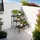 Tectake Blumentreppe mit 3 Stufen eckig